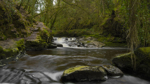 Scenic view of river flowing through rocks