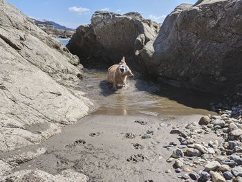 View of a rock in water