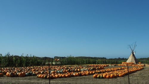 View of trees against clear blue sky