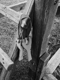 Low section of man standing on wood