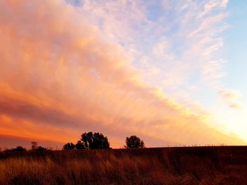 Scenic view of field against sky during sunset