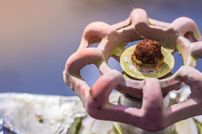 Close-up of hand holding ice cream