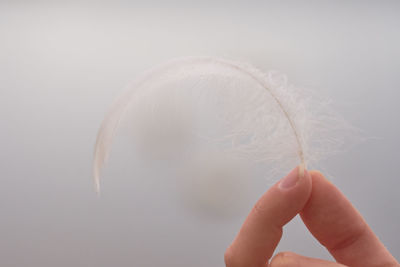 Close-up of hand holding feather