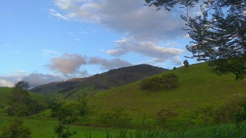 Scenic view of landscape against cloudy sky