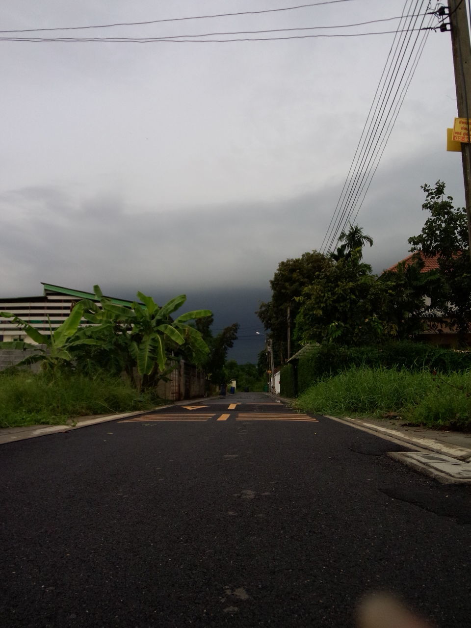 the way forward, road, sky, transportation, tree, road marking, diminishing perspective, electricity pylon, vanishing point, cloud - sky, power line, street, connection, cloud, cloudy, empty road, electricity, built structure, empty, architecture