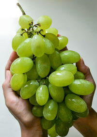 Close-up of hand holding fruits