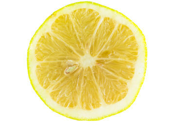 Close-up of lemon slice against white background