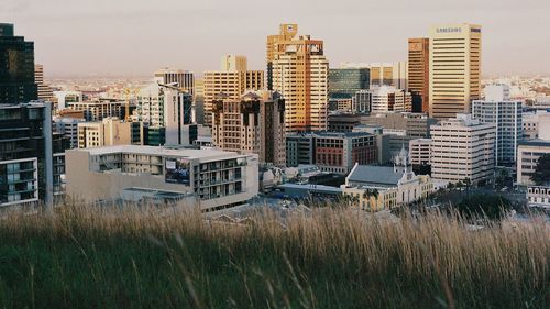 Buildings in front of grassy field in city