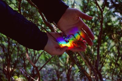 Cropped hands holding plants with spectrum