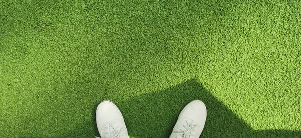 Low section of person standing on grass