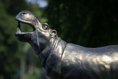 Close-up of hippopotamus statue