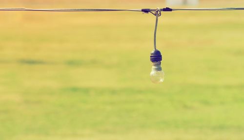 Close-up of light bulb hanging on field