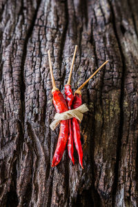 Close-up of red chili peppers on tree trunk