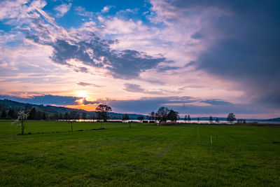 Scenic view of field against sky during sunset