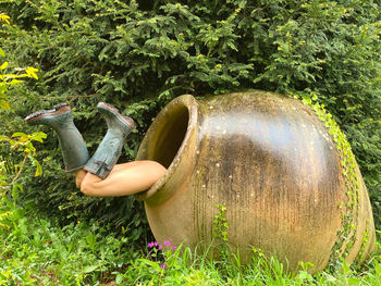 Midsection of woman by plants on field