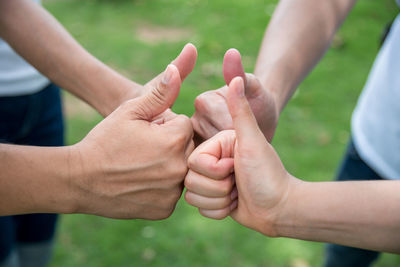 Cropped image of friends gesturing thumbs up