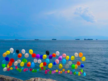 Various flowers floating on sea against sky