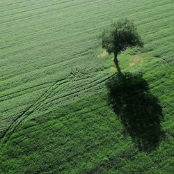 High angle view of field