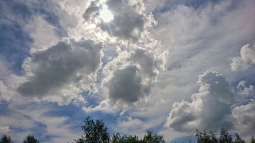 Low angle view of trees against sky