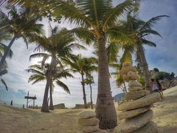 Palm trees on beach against sky