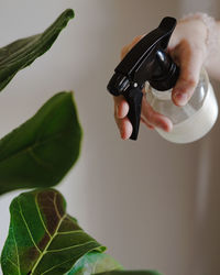 Cropped image of hands spraying water on plants