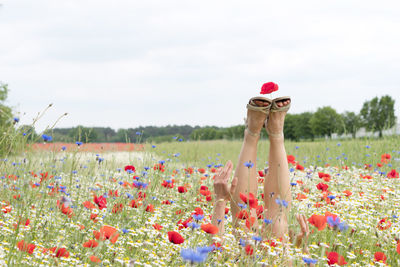 Female legs stick out from the field of multicolored flowers, explosion of color