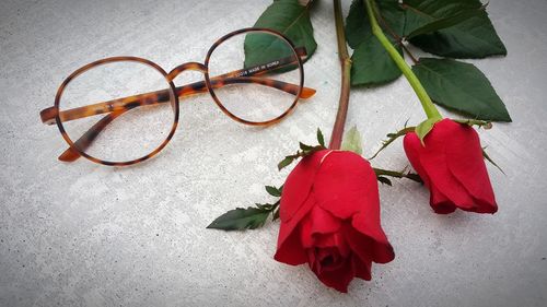Close-up of red rose on table