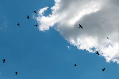 sky