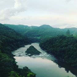 Scenic view of river in forest against sky