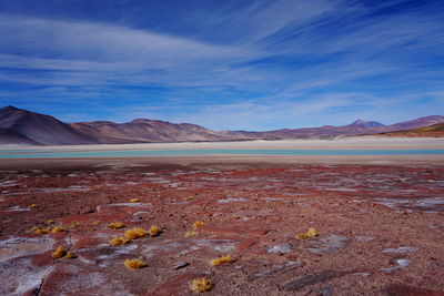 Scenic view of desert against sky