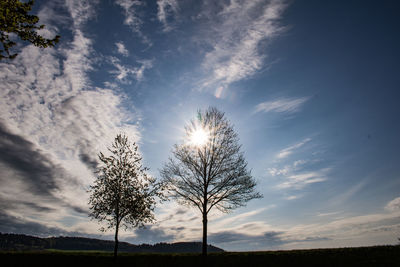 Low angle view of silhouette trees on field against sky