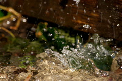 Close-up of water drops on spider web