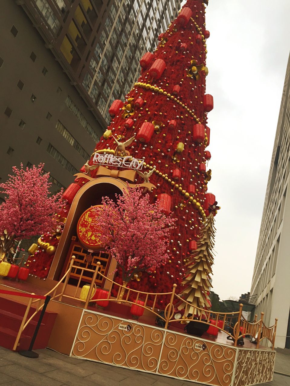 architecture, low angle view, building exterior, built structure, tree, city, decoration, sky, red, hanging, outdoors, building, day, branch, tradition, lighting equipment, no people, christmas tree, christmas, christmas decoration