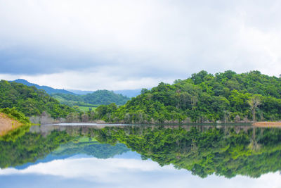 Scenic view of lake by trees against sky