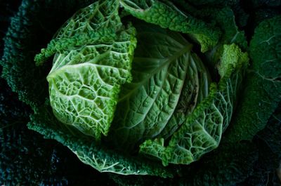 Full frame shot of green leaves