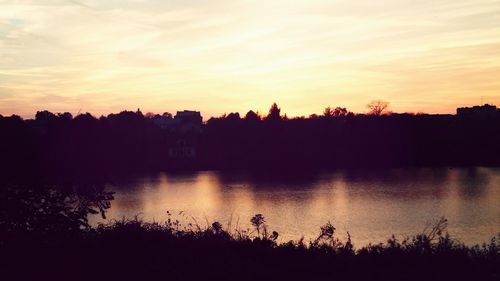 Silhouette of trees at sunset