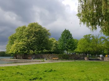 Trees on field against sky