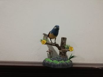 Bird perching on potted plant against wall