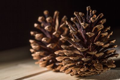 Close-up of pine cone on table