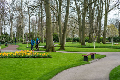 Man on bench in park