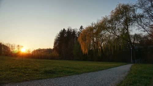 Trees on field against sky during sunset