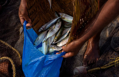 Close-up of fish in basket