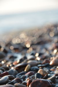 Close-up of pebbles on beach