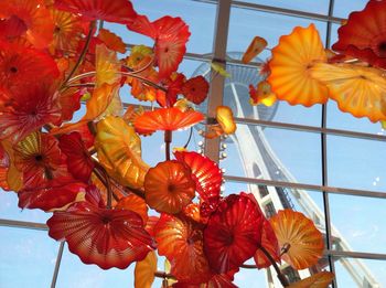 Close-up of red flowers