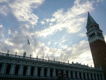 Low angle view of bird flying in sky