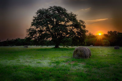 Hay bales on field against sky during sunset