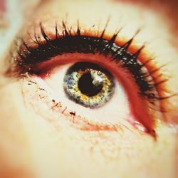 Extreme close-up of human eye