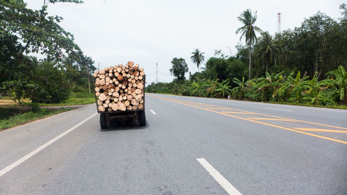 Car on road by trees against sky in city