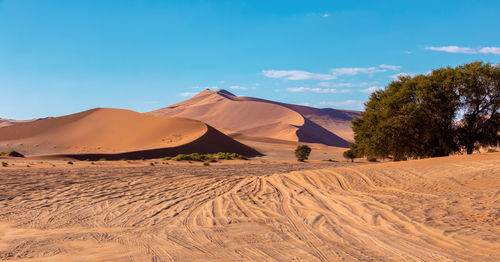 Scenic view of desert against sky