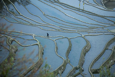 Yuanyang rice terrace, yunnan, china